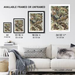 "Artery8 Lacertilia Reptile Lizard Species Haeckel Wall Art Print Poster - Size: W12"" x H16""" - thumbnail 3