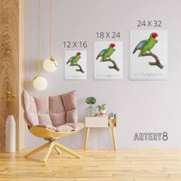 "Artery8 The Red Cheeked Parrot Francois Levaillant Canvas Wall Art Print in White - Size: W12"" x H16""" - thumbnail 4