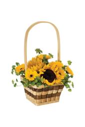 KDMD Check Mate Basket Brown Christmas Ornament