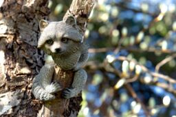 Marco Paul Raccoon Tree Peeker Resin Ornaments in Grey - thumbnail 4