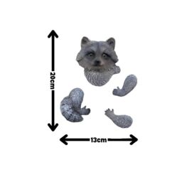Marco Paul Raccoon Tree Peeker Resin Ornaments in Grey - thumbnail 2