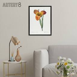 "Artery8 Tiger Flower Botanical Redoute Vintage Black Framed Canvas Wall Art in White - Size: W12"" x H16""" - thumbnail 3
