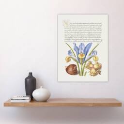 "Artery8 Iris Flower & Hazelnut Calligraphy Wall Art Poster Print in White - Size: W24"" x H32""" - thumbnail 4