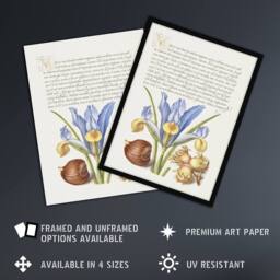 "Artery8 Iris Flower & Hazelnut Calligraphy Wall Art Poster Print in White - Size: W24"" x H32""" - thumbnail 2