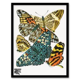 Artery8 Eugene Seguy Framed Wall Art Print Vintage Butterflies Blue Yellow - Size: A4 - thumbnail 1