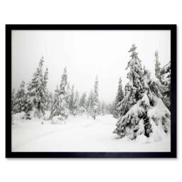 "Artery8 Photography Landscape Winter Scene Snow Forest Trees Framed Art Print in White - Size: W12"" x H16""" - thumbnail 1