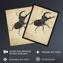 Artery8 Stag Beetle Nature Study Albrecht Durer Framed Wall Art Print in Beige - Size: A4 - thumbnail 2