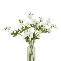 Hill Interiors Pearl Clematis Artificial Flower Spray in Cream - thumbnail 3