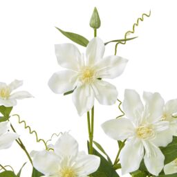 Hill Interiors Pearl Clematis Artificial Flower Spray in Cream - thumbnail 2