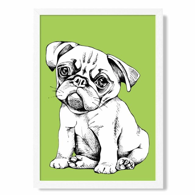 ARTZE Sketch Pug Dog on Bright Green Framed Print SIZE: A2 with White Frame - Size: A4 - image 1