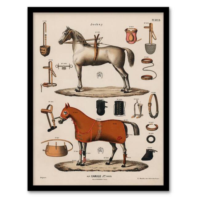 Artery8 Alp Camille Jeune Framed Wall Art Vintage Horseback Riding Equipment in Beige - Size: A4 - image 1