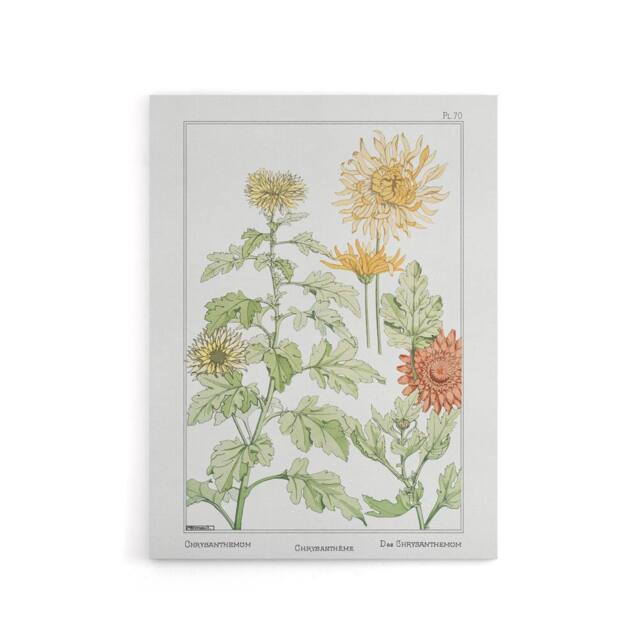 "Artery8 Chrysanthemum Canvas Wall Art Print Vintage Floral Verneuil in White - Size: W18"" x H24""" - image 1
