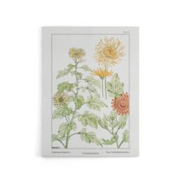 "Artery8 Chrysanthemum Canvas Wall Art Print Vintage Floral Verneuil in White - Size: W18"" x H24""" - thumbnail 1