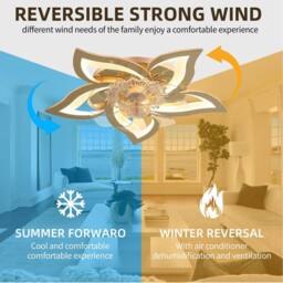NIVOR 5 Leaf Dimmable Ceiling Fan with Light with Remote 6 Speeds Gold - thumbnail 4