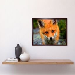 "Artery8 Wall Art Print Baby Fox Portrait Cute Woodland Animal Wildlife Nature Photograph Art Framed in Brown - Size: W12"" x H16""" - thumbnail 2