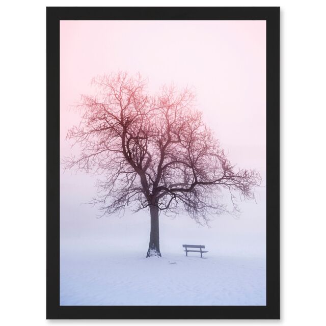 Artery8 Winter Landscape Snow Lone Tree Bench Foggy Sunrise Photo Artwork Framed Wall Art Print A4 in Black - image 1