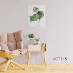 "Artery8 White Dombeya Amelia Flowers Redoute Vintage Canvas Wall Art - Size: W18"" x H24""" - thumbnail 3