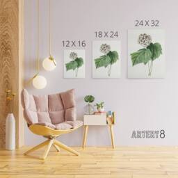 "Artery8 White Dombeya Amelia Flowers Redoute Vintage Canvas Wall Art - Size: W18"" x H24""" - thumbnail 4