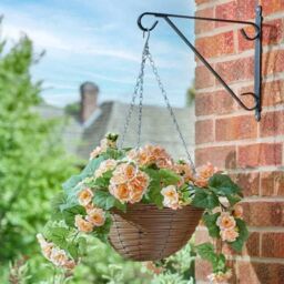 "Marco Paul 12"" Pink Begonia Artificial Flowers Hanging Basket in Baby Pink" - thumbnail 1