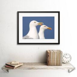 "Artery8 Seagulls Birds Sea Seaside Bathroom Home Decor 12x16"" Framed Art Print in Blue - Size: W12"" x H16""" - thumbnail 2