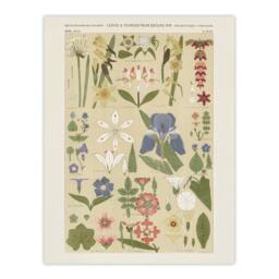 "Artery8 Leaves & Flowers From Nature No 8 Jones Wall Art Print Poster in Beige - Size: W12"" x H16""" - thumbnail 1