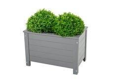 Norfolk Leisure Lifestyle Florenity Rectangular Planter 35x60cm in Light Grey - Size: 35x60 cm - thumbnail 2