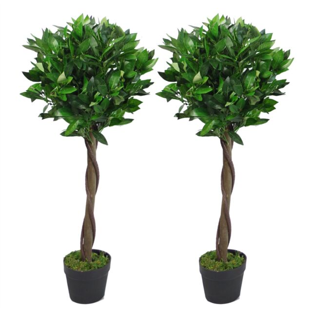 Leaf Pair of 90cm (3ft) Twisted Stem Artificial Topiary Bay Laurel Ball Trees in Green - image 1