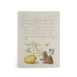 "Artery8 Gillyflower Almond & Frog Calligraphy Canvas Wall Art Print in White - Size: W12"" x H16""" - thumbnail 1