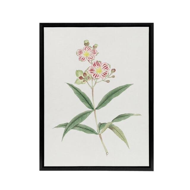 "Artery8 Red White Blossoms Framed Canvas Wall Art Print Vintage Japan Botanical in Green - Size: W12"" x H16""" - image 1