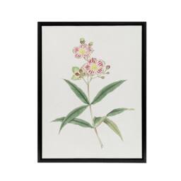"Artery8 Red White Blossoms Framed Canvas Wall Art Print Vintage Japan Botanical in Green - Size: W12"" x H16""" - thumbnail 1