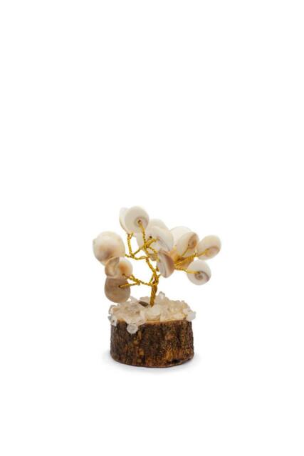 KDMD Small Gomati Chakra Tree with Rudraksha-15 Stones in White - image 1