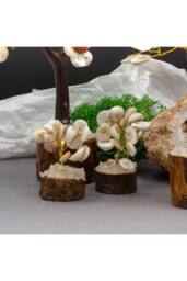 KDMD Small Gomati Chakra Tree with Rudraksha-15 Stones in White - thumbnail 3