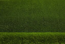 RugsX Artificial Grass Etile Rug in Green - Size: 100 cm x 200 cm - thumbnail 2