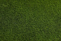 RugsX Artificial Grass Etile Rug in Green - Size: 100 cm x 200 cm - thumbnail 3