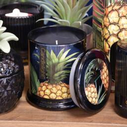 Madison & Mayfair Pineapple & Coconut Large Lidded Jar Candle in Black
