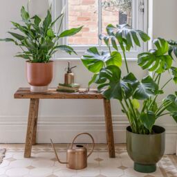 Ivyline Indoor Austin Dual Rubarb Metal Planters Set of 2 *extra large* in Pink - thumbnail 1