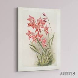 "Artery8 Frederick Sander Laelia Gouldiana Orchid Flowers Canvas Wall Art Print - Size: W12"" x H16""" - thumbnail 2
