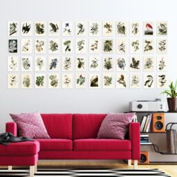 Artery8 50 Pcs John Audubon Bird Illustrations A6 Art Set Pack 14.8 x 10.5cm - Size: 14.8 x 10.5 cm - thumbnail 3