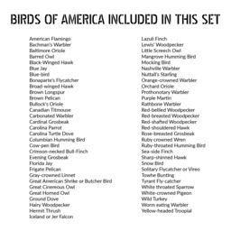 Artery8 50 Pcs John Audubon Bird Illustrations A6 Art Set Pack 14.8 x 10.5cm - Size: 14.8 x 10.5 cm - thumbnail 6