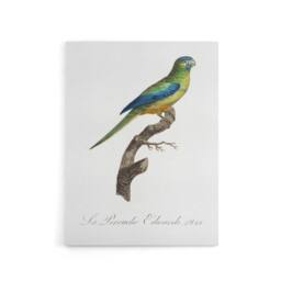 "Artery8 Turquoise Ground Parakeet Levaillant Canvas Wall Art Print in White - Size: W12"" x H16""" - thumbnail 1