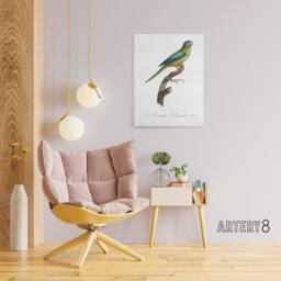 "Artery8 Turquoise Ground Parakeet Levaillant Canvas Wall Art Print in White - Size: W12"" x H16""" - thumbnail 3