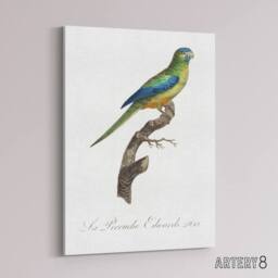 "Artery8 Turquoise Ground Parakeet Levaillant Canvas Wall Art Print in White - Size: W12"" x H16""" - thumbnail 2
