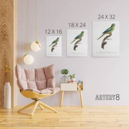 "Artery8 Turquoise Ground Parakeet Levaillant Canvas Wall Art Print in White - Size: W12"" x H16""" - thumbnail 4