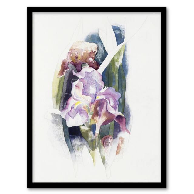 Artery8 Purple Iris Flower Watercolour Demuth Framed Wall Art Print in White - Size: A4 - image 1