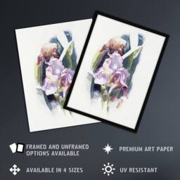 Artery8 Purple Iris Flower Watercolour Demuth Framed Wall Art Print in White - Size: A4 - thumbnail 2