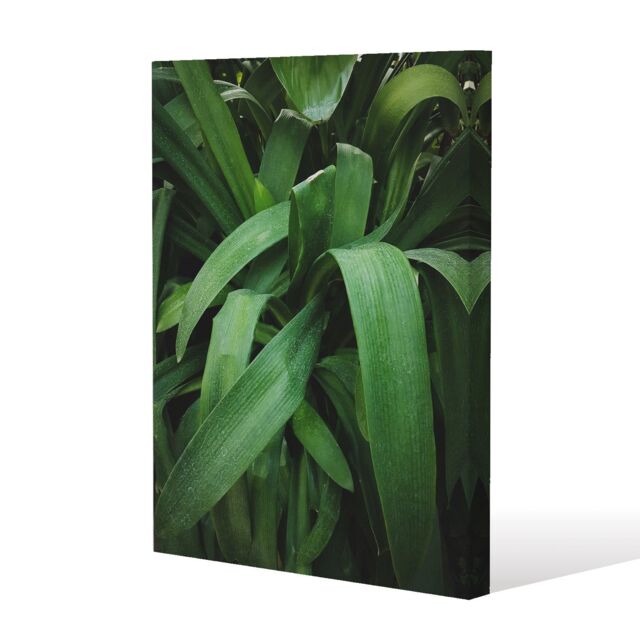 Benjamin Tate Design Atmospheric background, Selective focus (Canvas Print) / 114 x 77 x 4cm in Natural - Size: 114 x 77 x 4 cm - image 1