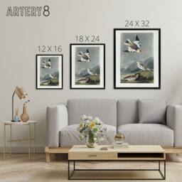"Artery8 Birds of America Snow Bunting Audubon Nature Black Framed Canvas Art in Grey - Size: W18"" x H24""" - thumbnail 4