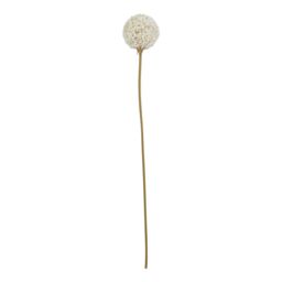 Hill Interiors The Natural Garden Collection Allium Artificial Flower in White - thumbnail 1