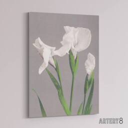 "Artery8 White Irises Blooming Flowers Canvas Wall Art Print Kazumasa in Green - Size: W18"" x H24""" - thumbnail 2