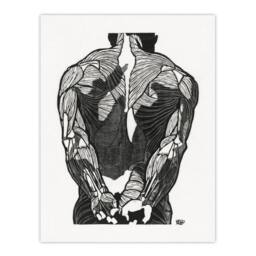 "Artery8 Anatomical study of mans back muscles Stolk Wall Art Poster Print in White - Size: W18"" x H24""" - thumbnail 1